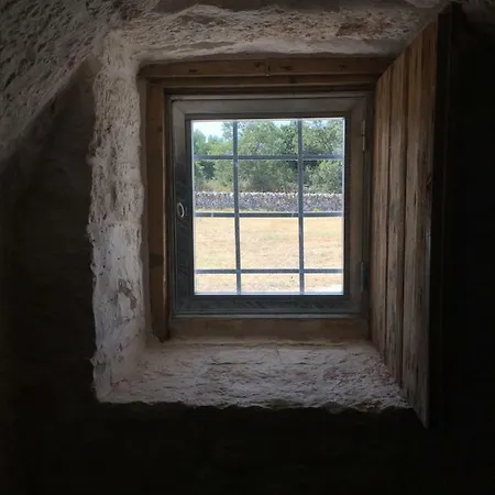 Country house Masseria Croce Piccola - Wineyard *