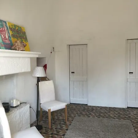 Country house Masseria Croce Piccola - Wineyard