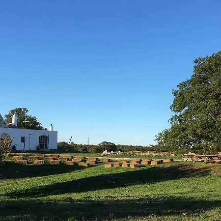 Masseria Croce Piccola - Wineyard